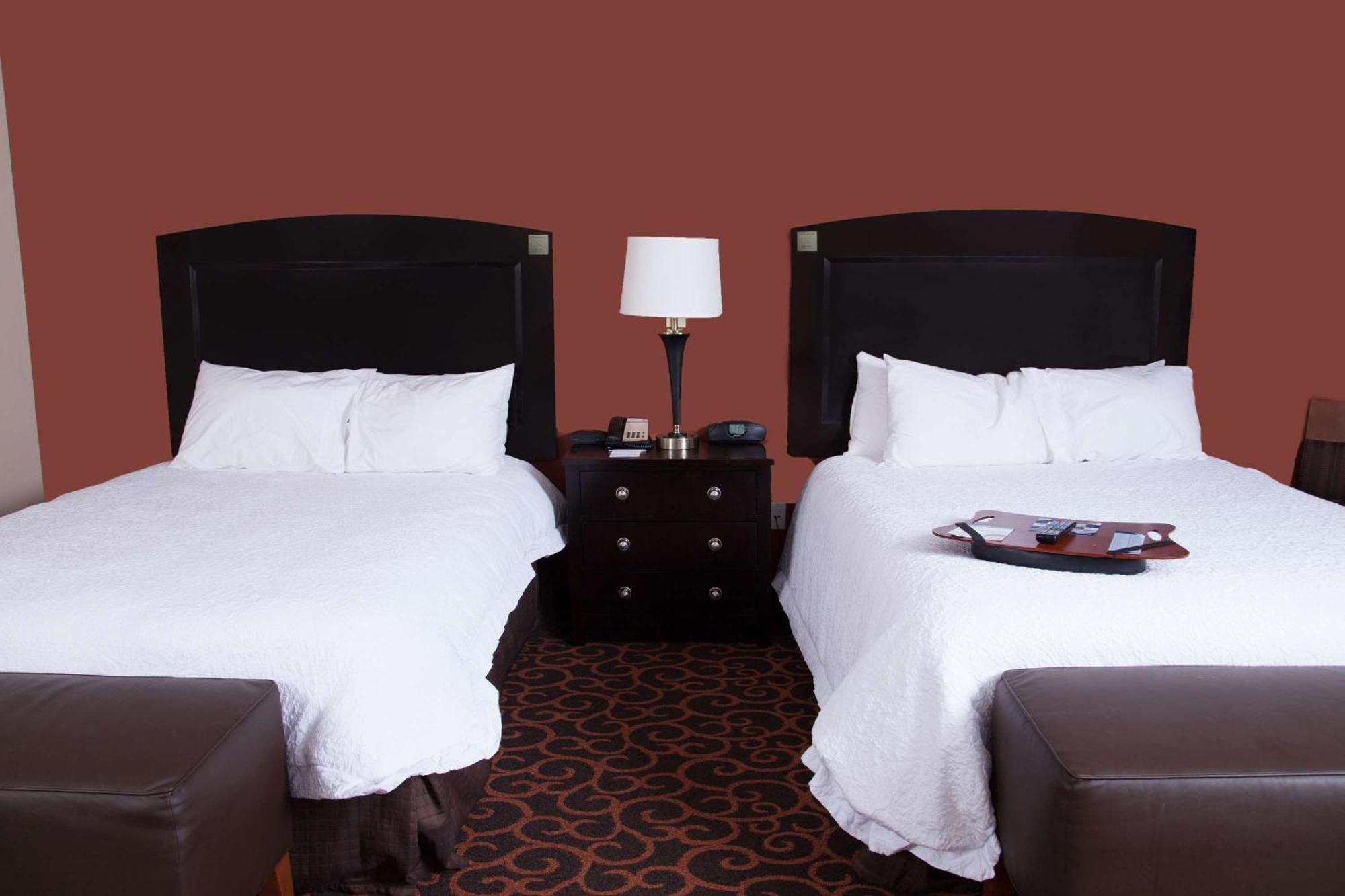 Hampton Inn & Suites Dickinson Nd Esterno foto