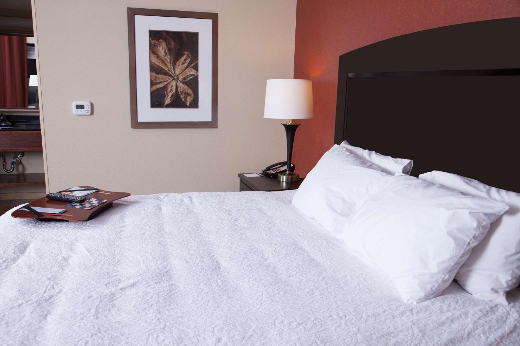 Hampton Inn & Suites Dickinson Nd Esterno foto