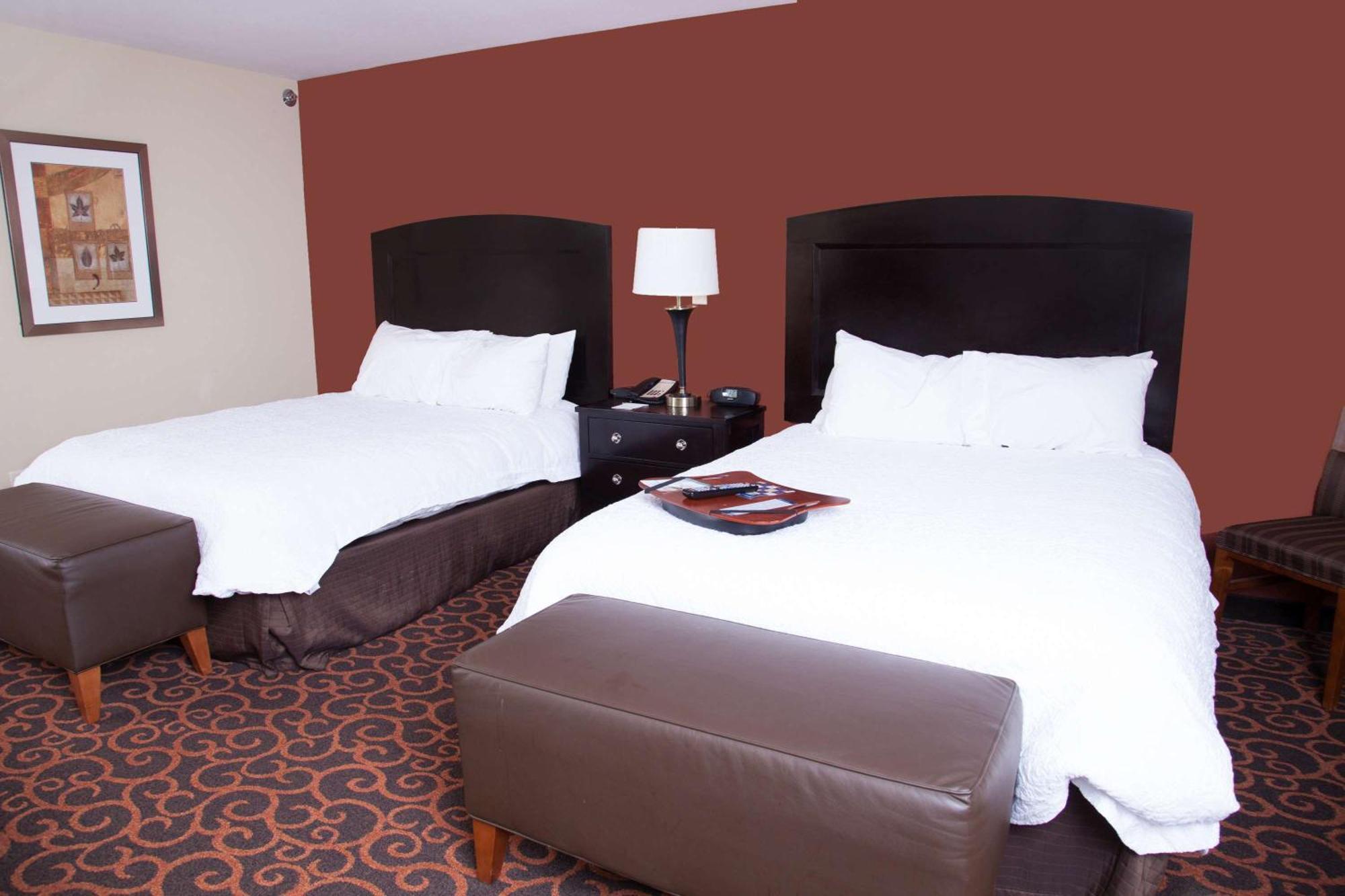 Hampton Inn & Suites Dickinson Nd Esterno foto